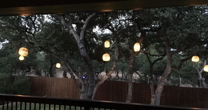 fish baskets custom light fixtures
