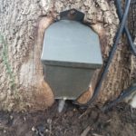 Landscape Lighting Maintenance