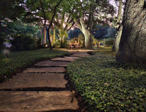Transform the outdoors with lighting