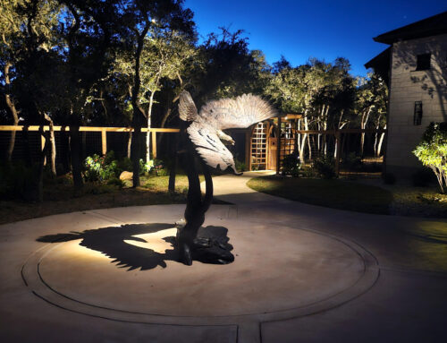 Sculpture Lighting in San Antonio