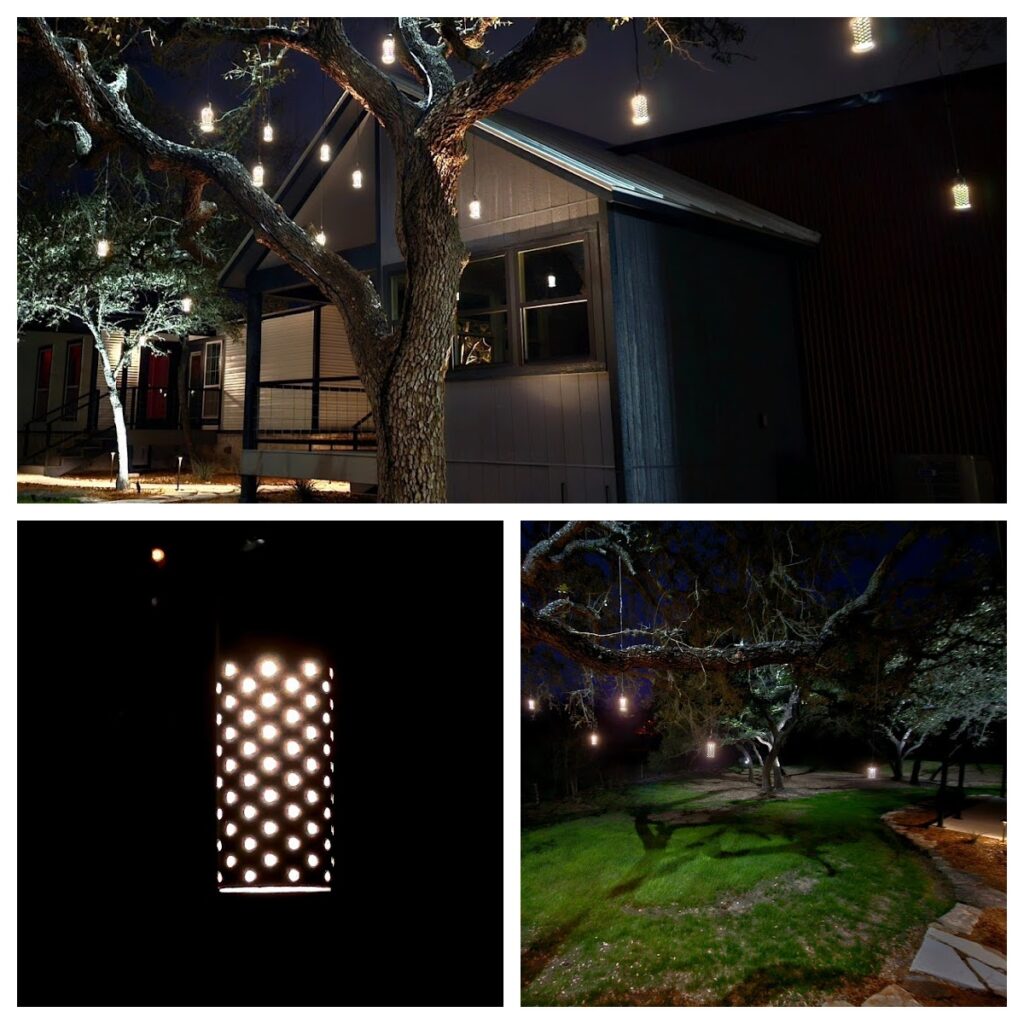 Decorative hanging lights from a tree