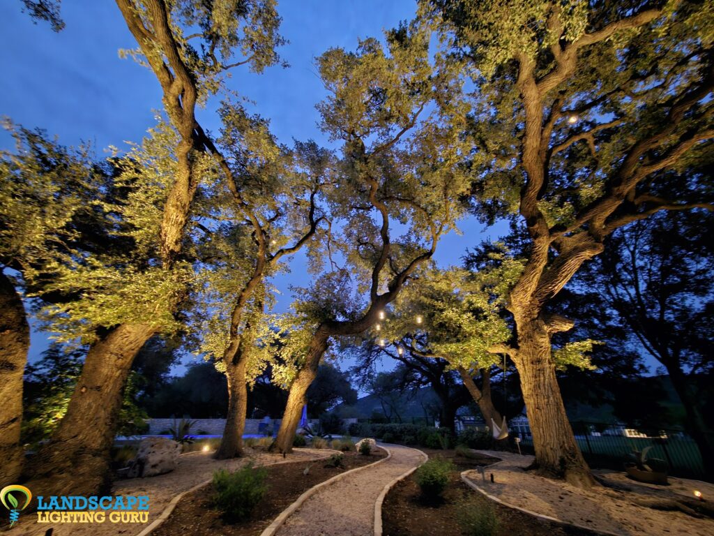 Modern outdoor pendant lighting above a walkway